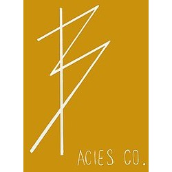 Acies Co logo