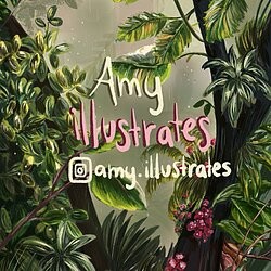 amy.illustrates logo