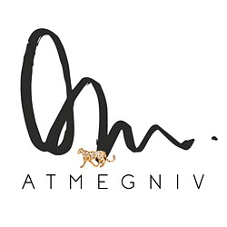 ATMEGNIV logo