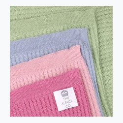 The Alpaca Company logo