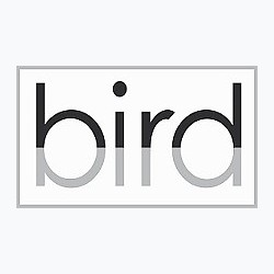 Bird logo