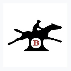 Bourneys logo