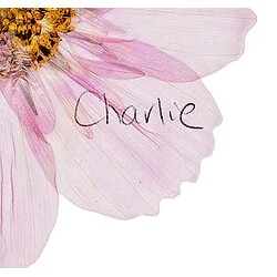 Charlie Presses Flowers logo