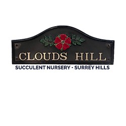 Clouds Hill Succulents logo