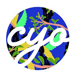 Craft Your Own logo