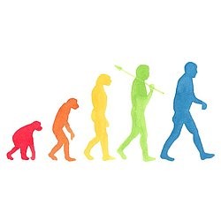 Darwin Designs logo