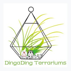 DingaDing logo