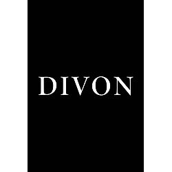 DIVON logo