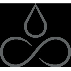 Forever Flames logo