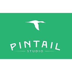 Pintail studios logo