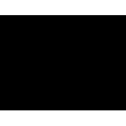 Historic Newspapers logo