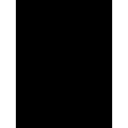 Jewel Tree London logo