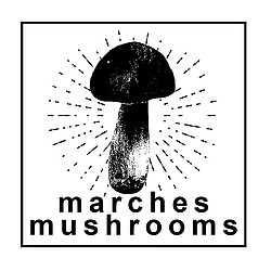 Marches Mushrooms logo