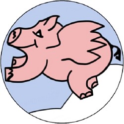 Morgan Kites logo
