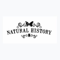 Natural History - The Origin of Style logo
