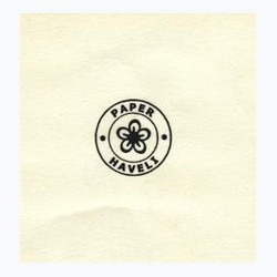 Paper Haveli logo