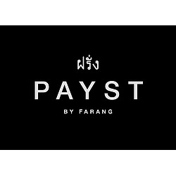 Payst logo