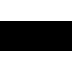 Pimentae Drinks logo