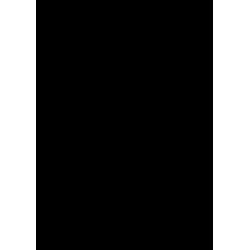 Poem and Joy logo