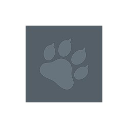 Ralphie Bear logo