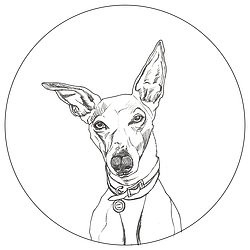 Rosie Noses logo