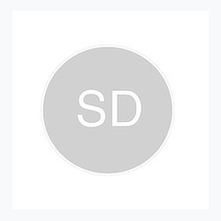 SkandiDesign logo