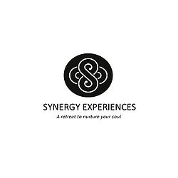 Synergy Experiences logo