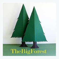 TheBigForest logo