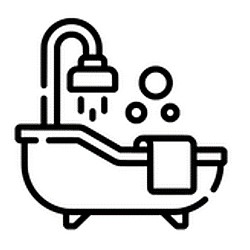 The Fizz Bizz logo