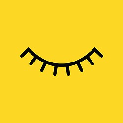 The Positive Planner logo