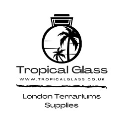 Tropical Glass logo