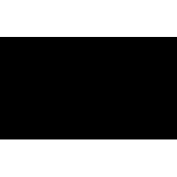 True Willow Gifts logo