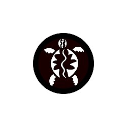 Turtle Bags logo