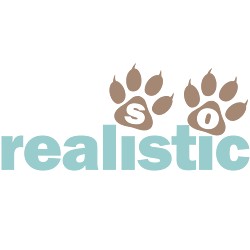 SoRealistic logo
