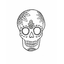 Xander Kostroma logo