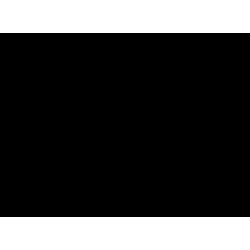 Zohreh V. Jewellery logo