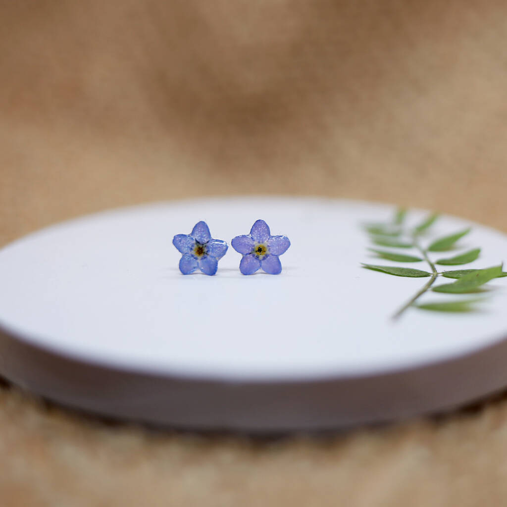 Forget Me Not 925 Sterling Silver Stud Earrings