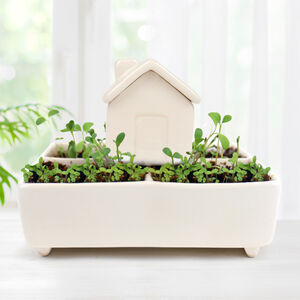 Self Watering House With Herb Garden And Seeds