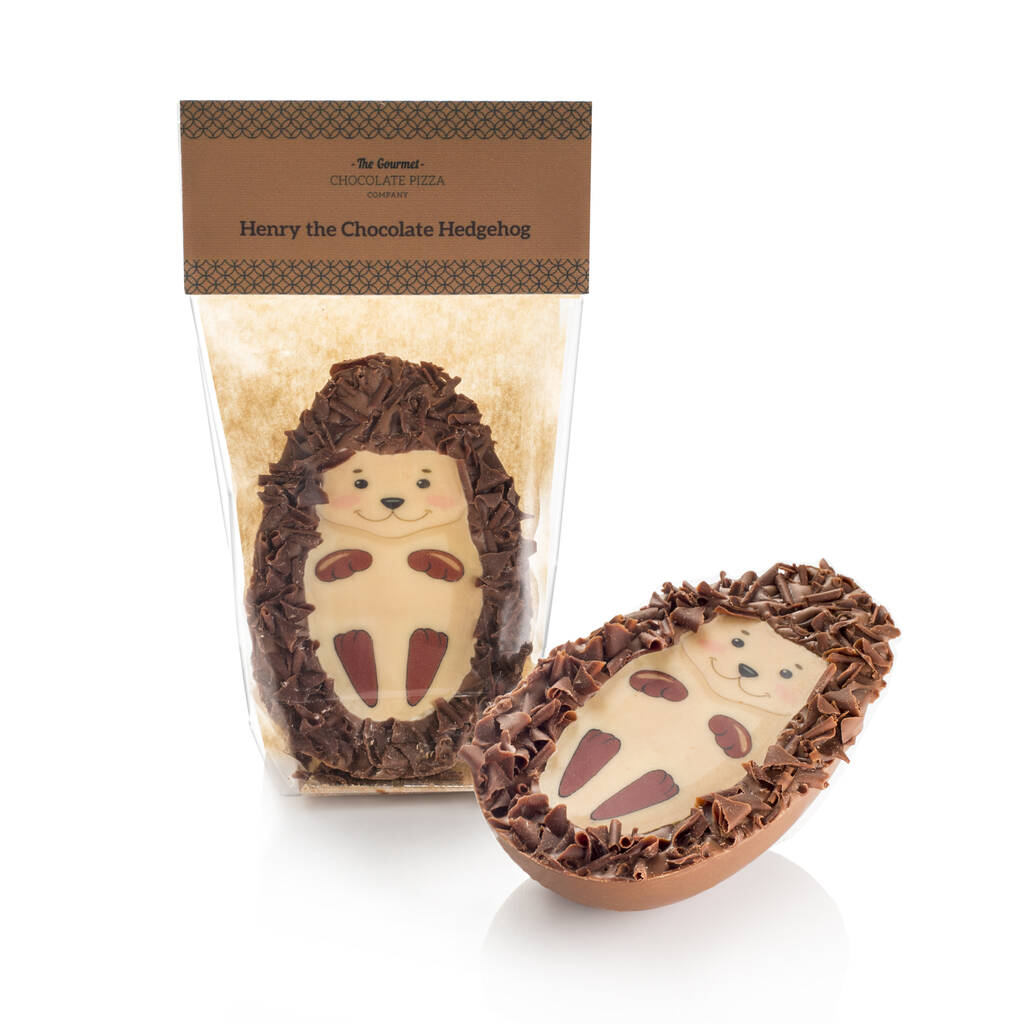 Henry The Chocolate Hedgehog