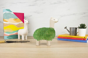 Grow Your Own Llama Chia Planter Plant Pot