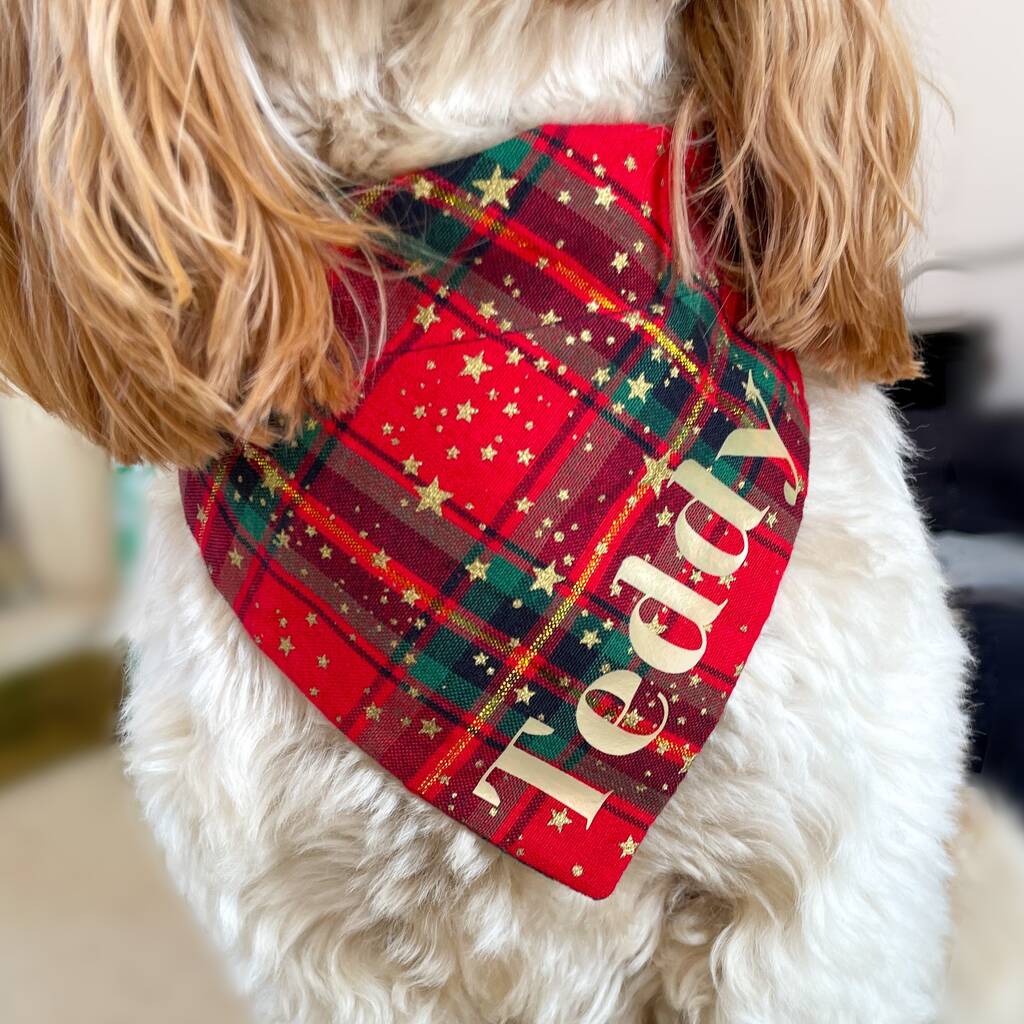 Personalised Christmas Dog Bandana