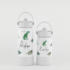 Personalised Insulated Dinosaur Bottle School Travel