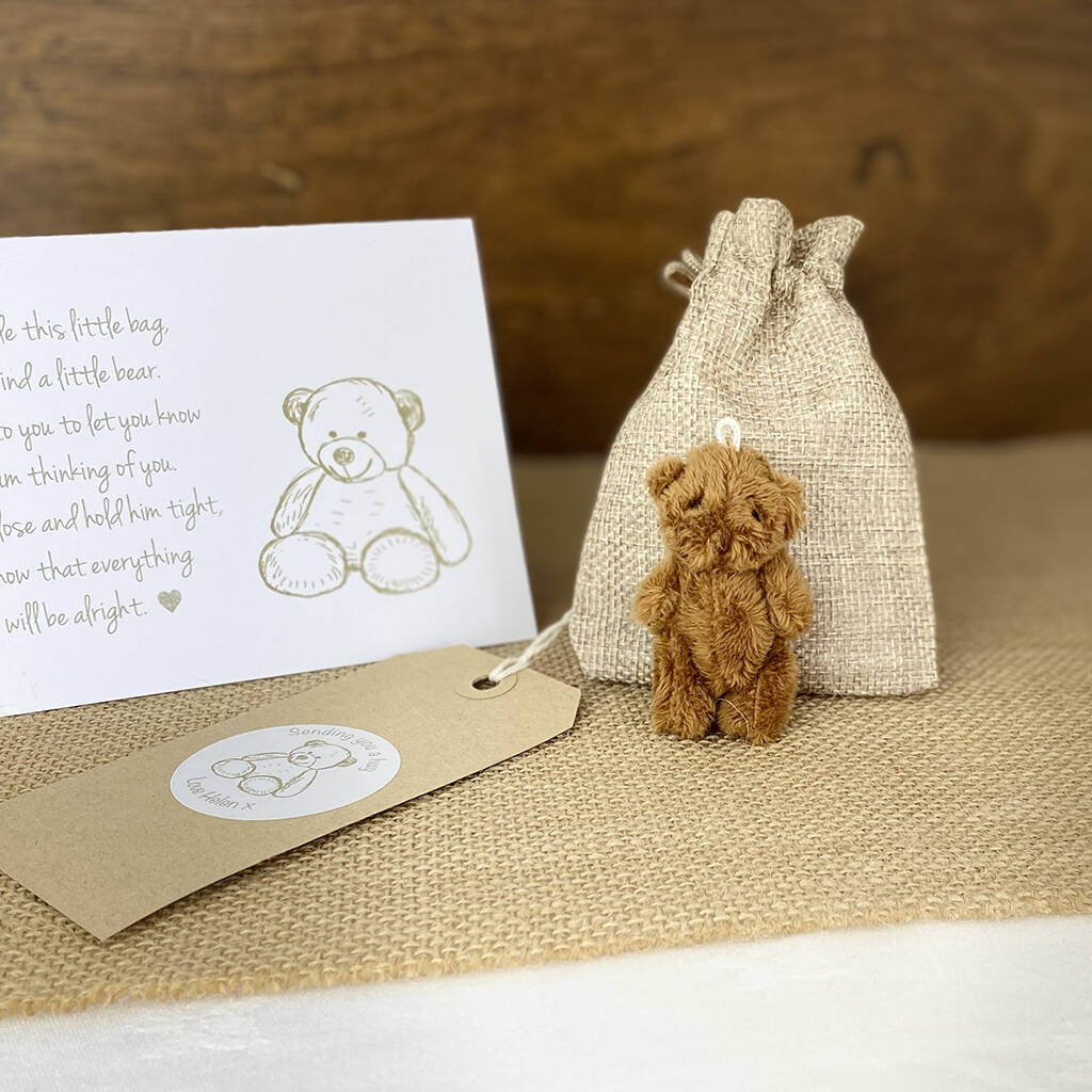 A Little Brown Pocket Teddy Bear Hug Thinking Of You Gift