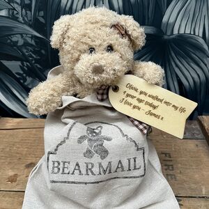 Personalised Teddy Bear In A Bag