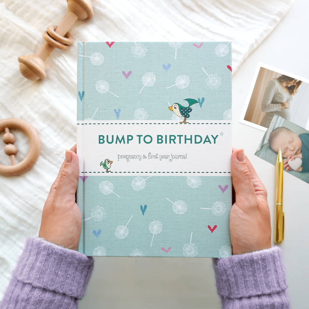 Bump To Birthday, A Pregnancy And First Year Journal