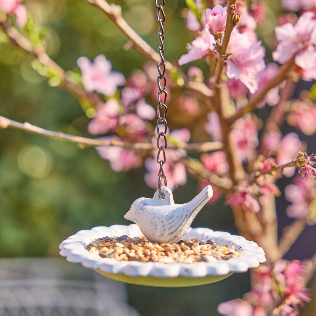 Hanging Garden Bird Dish