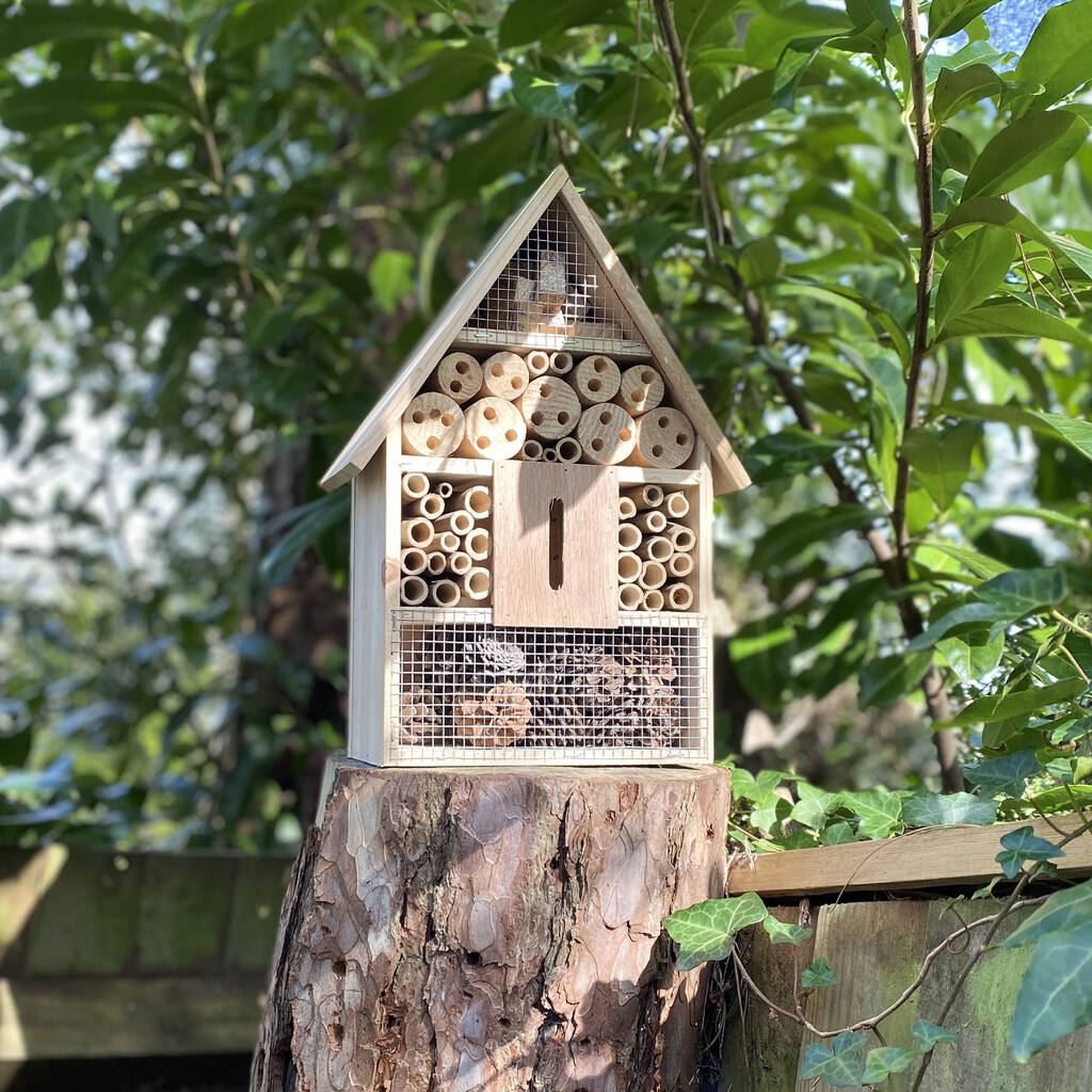 Busy Butterfly, Bee, Bug And Beneficial Insect Habitat