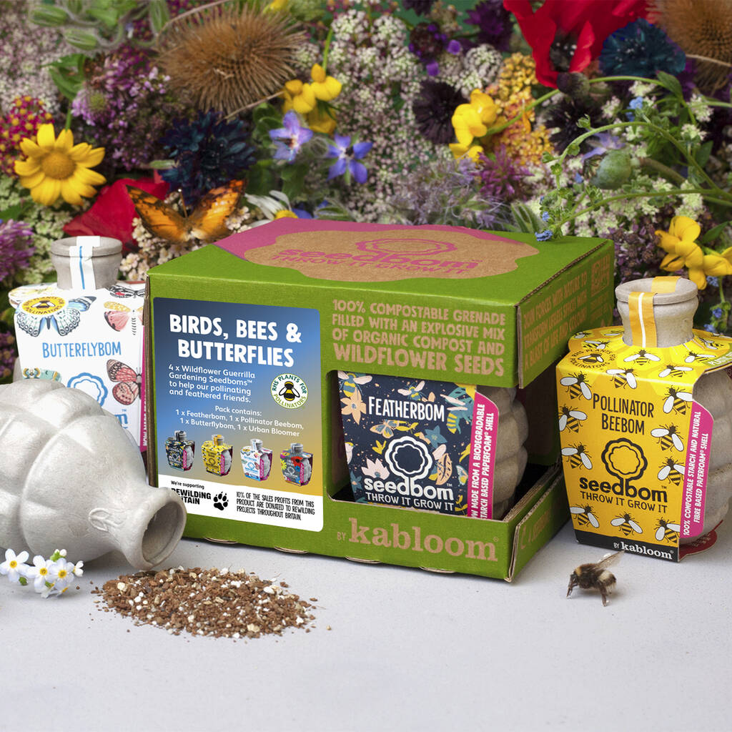 Birds, Bees And Butterflies Seedbom Gift Box Incl. Wildflower Seeds For Pollinators