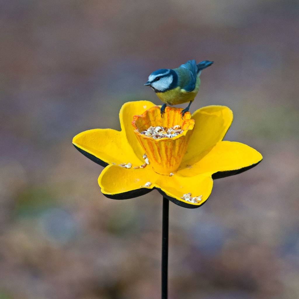 Cast Iron Daffodil Bird Feeder Garden Ornament