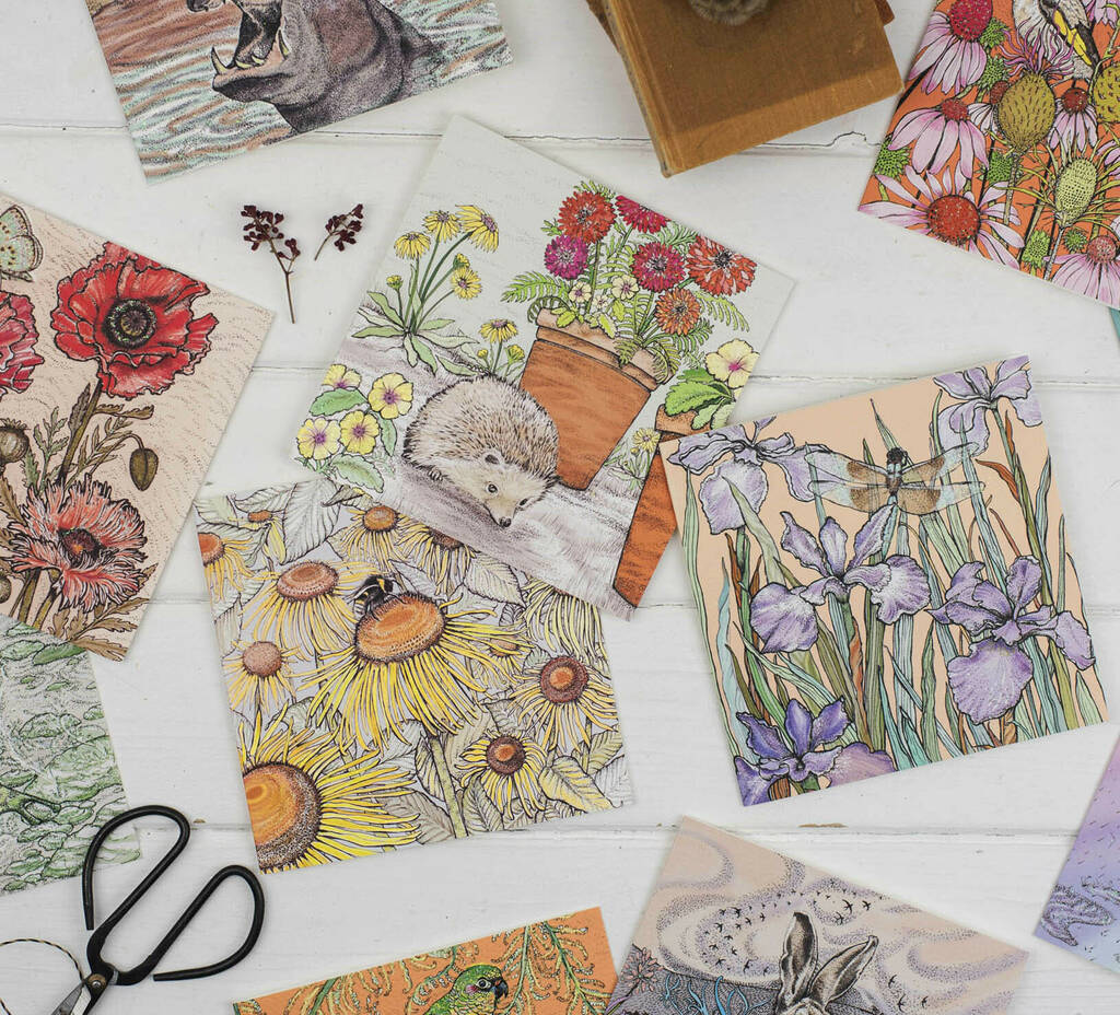 'Floral Summer' Mixed Pack Of Ten Greeting Cards